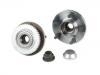 комплекс ступичного подшипника Wheel Hub Bearing:271905-2