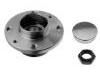 轮毂轴承单元 Wheel Hub Bearing:71737189